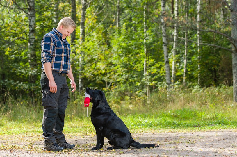 How to Find A Good Dog Trainer