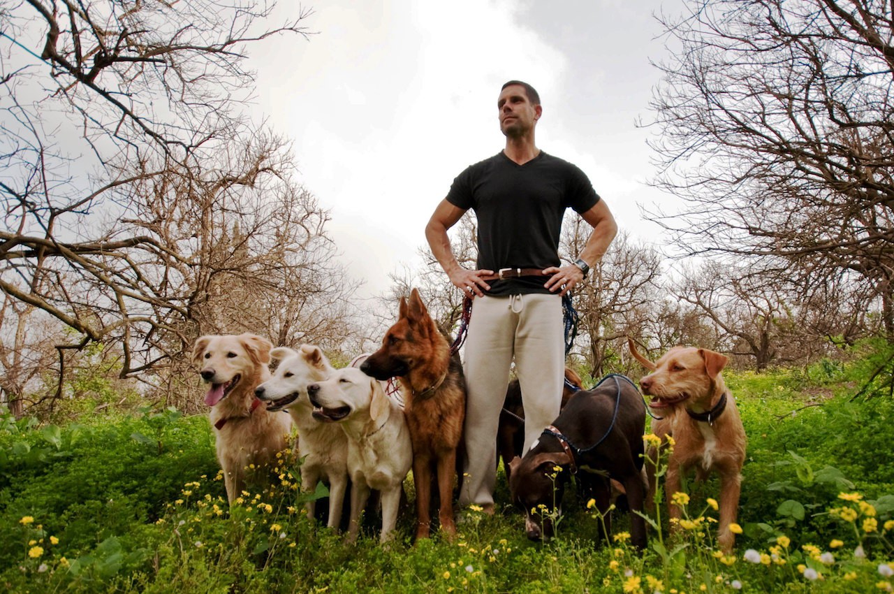 How to Find A Good Dog Trainer