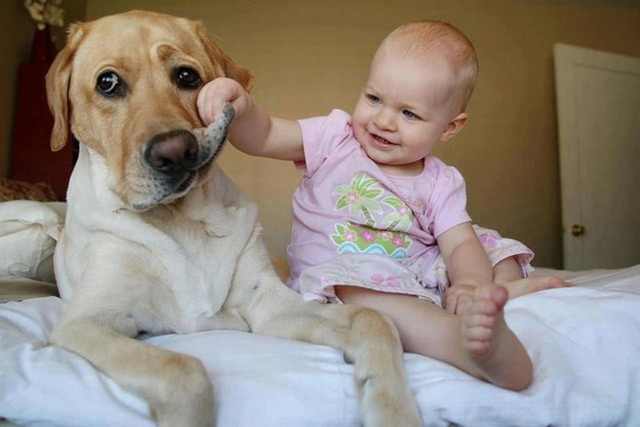 Dogs and Children: How A Dog Sees Your Child